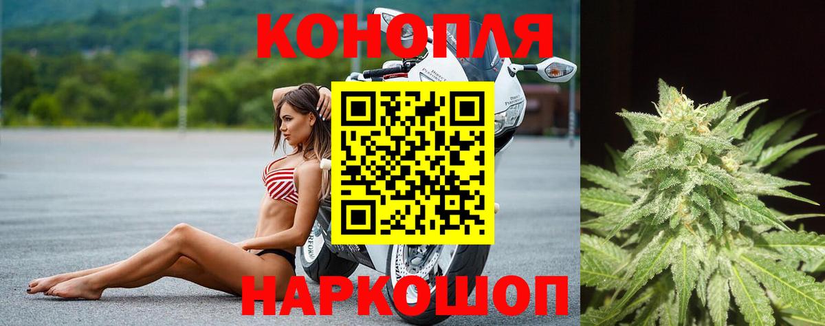 Конопля Ganja  Марихуана гибрид  Вход с VPN  Конопля AK-47  Конопля AK-47  Новый Уренгой 